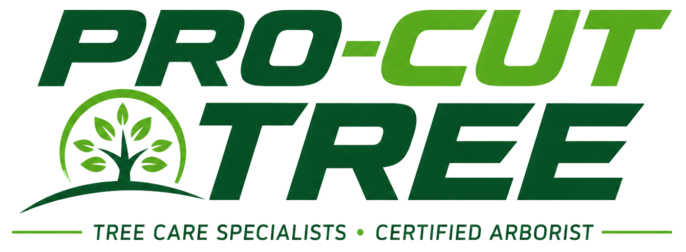 Pro-Cut Tree, Tree Care Specialists and Certified Arborist